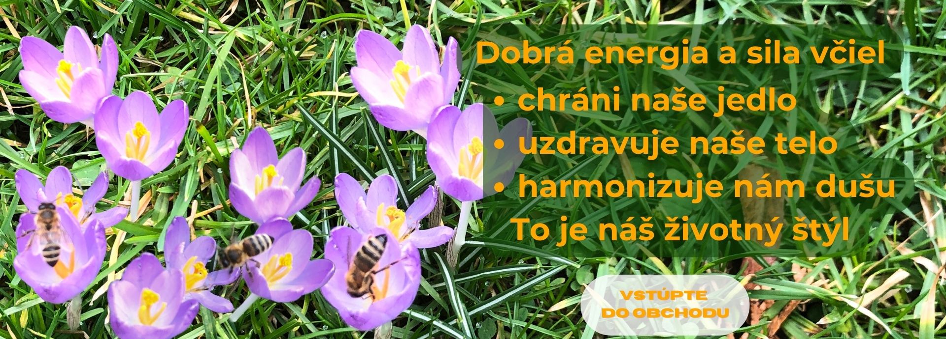 včelobaly